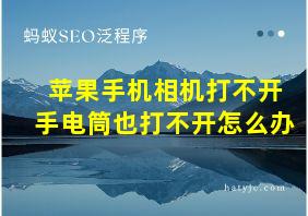 苹果手机相机打不开手电筒也打不开怎么办