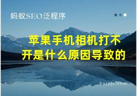 苹果手机相机打不开是什么原因导致的