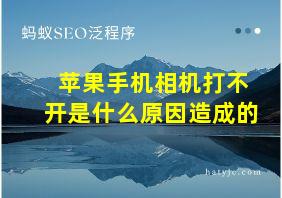 苹果手机相机打不开是什么原因造成的