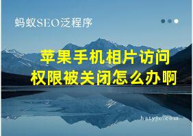 苹果手机相片访问权限被关闭怎么办啊