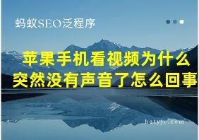 苹果手机看视频为什么突然没有声音了怎么回事