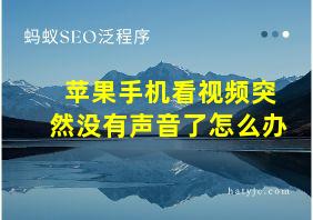 苹果手机看视频突然没有声音了怎么办