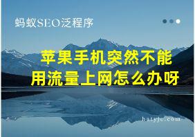 苹果手机突然不能用流量上网怎么办呀