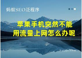 苹果手机突然不能用流量上网怎么办呢