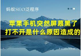 苹果手机突然屏幕黑了打不开是什么原因造成的