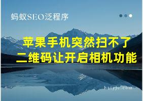 苹果手机突然扫不了二维码让开启相机功能