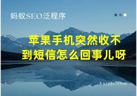 苹果手机突然收不到短信怎么回事儿呀