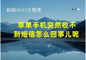 苹果手机突然收不到短信怎么回事儿呢