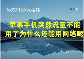 苹果手机突然流量不能用了为什么还能用网络呢