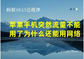 苹果手机突然流量不能用了为什么还能用网络