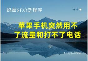 苹果手机突然用不了流量和打不了电话