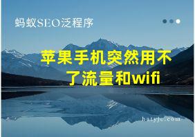 苹果手机突然用不了流量和wifi