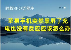 苹果手机突然黑屏了充电也没有反应应该怎么办