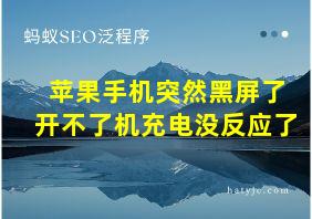 苹果手机突然黑屏了开不了机充电没反应了