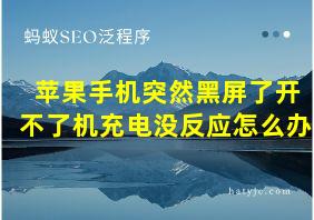 苹果手机突然黑屏了开不了机充电没反应怎么办