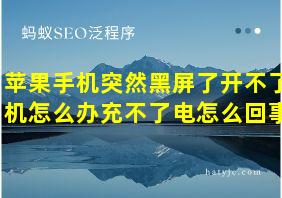 苹果手机突然黑屏了开不了机怎么办充不了电怎么回事