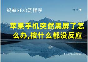 苹果手机突然黑屏了怎么办,按什么都没反应