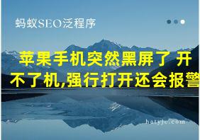 苹果手机突然黑屏了 开不了机,强行打开还会报警