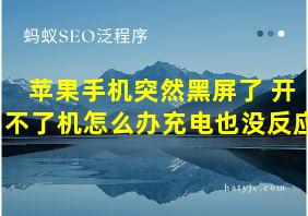 苹果手机突然黑屏了 开不了机怎么办充电也没反应