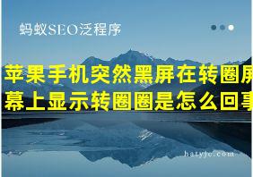 苹果手机突然黑屏在转圈屏幕上显示转圈圈是怎么回事