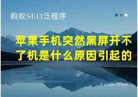 苹果手机突然黑屏开不了机是什么原因引起的