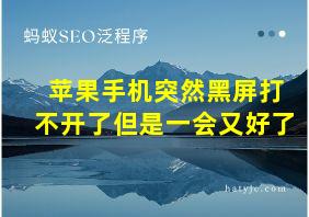 苹果手机突然黑屏打不开了但是一会又好了