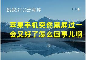 苹果手机突然黑屏过一会又好了怎么回事儿啊