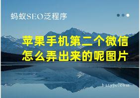 苹果手机第二个微信怎么弄出来的呢图片