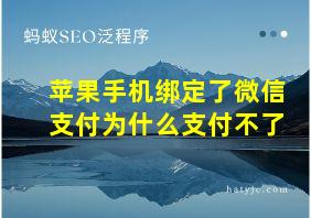 苹果手机绑定了微信支付为什么支付不了