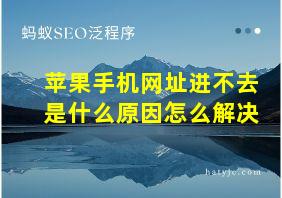 苹果手机网址进不去是什么原因怎么解决