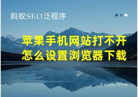 苹果手机网站打不开怎么设置浏览器下载