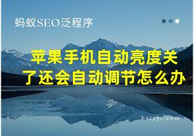 苹果手机自动亮度关了还会自动调节怎么办