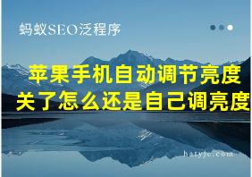 苹果手机自动调节亮度关了怎么还是自己调亮度