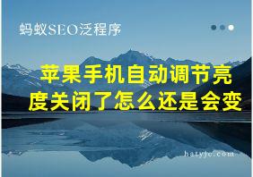 苹果手机自动调节亮度关闭了怎么还是会变