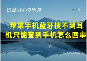 苹果手机蓝牙搜不到耳机只能查到手机怎么回事