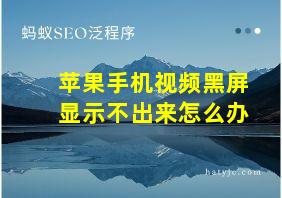 苹果手机视频黑屏显示不出来怎么办