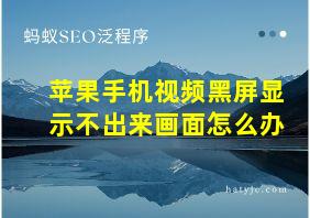 苹果手机视频黑屏显示不出来画面怎么办