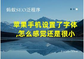 苹果手机设置了字体,怎么感觉还是很小