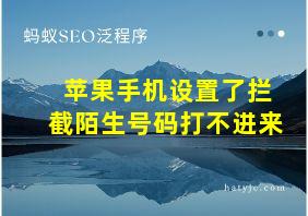 苹果手机设置了拦截陌生号码打不进来