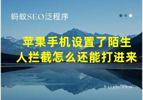 苹果手机设置了陌生人拦截怎么还能打进来