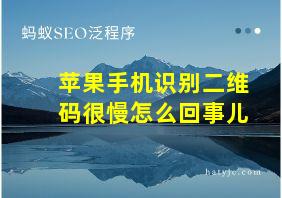 苹果手机识别二维码很慢怎么回事儿