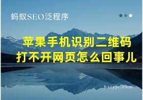 苹果手机识别二维码打不开网页怎么回事儿