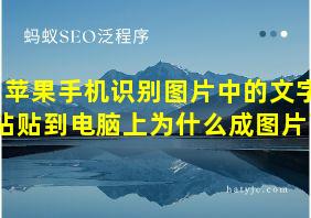 苹果手机识别图片中的文字粘贴到电脑上为什么成图片了