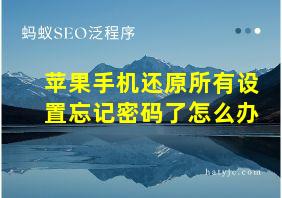 苹果手机还原所有设置忘记密码了怎么办