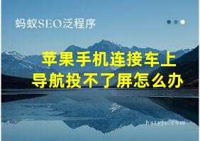 苹果手机连接车上导航投不了屏怎么办