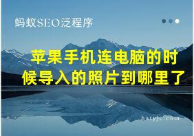 苹果手机连电脑的时候导入的照片到哪里了