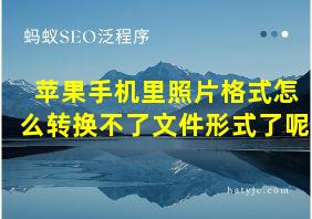 苹果手机里照片格式怎么转换不了文件形式了呢