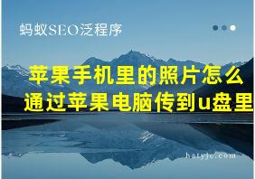 苹果手机里的照片怎么通过苹果电脑传到u盘里