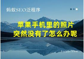 苹果手机里的照片突然没有了怎么办呢