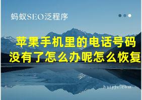 苹果手机里的电话号码没有了怎么办呢怎么恢复